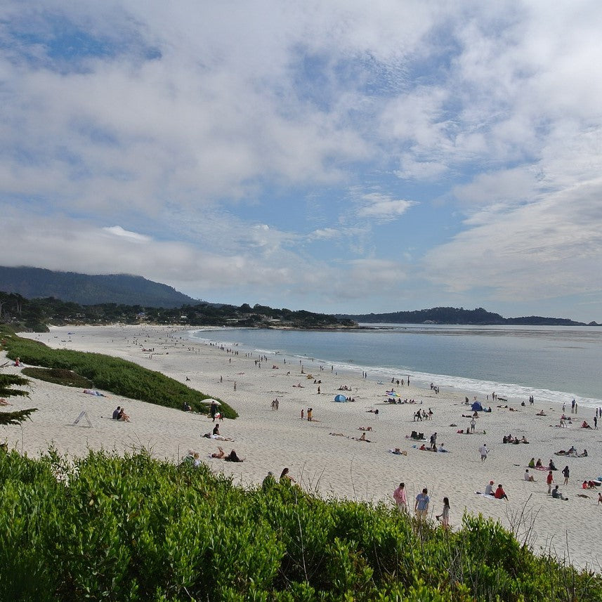 Art to See by the Sea: Monterey and Carmel, California