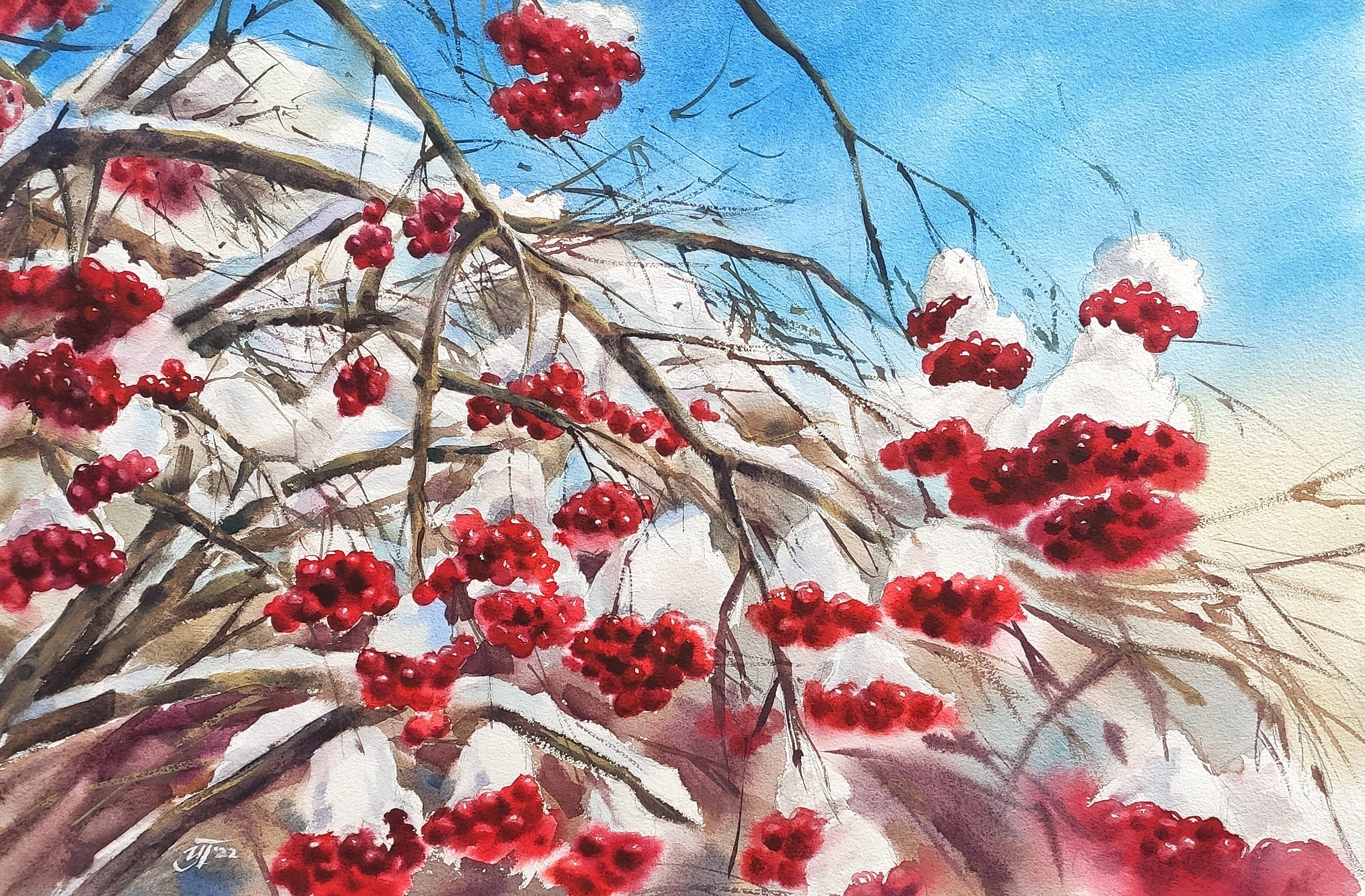 Winterberry: A fall and winter favorite