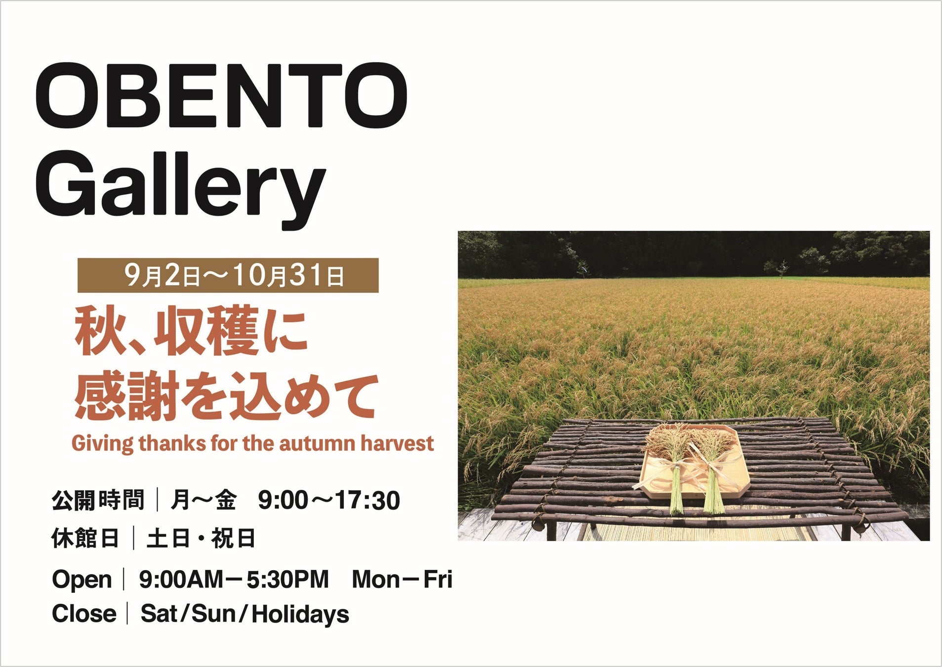 Plenus OBENTO Galleryで「秋、収穫に感謝を込めて」展開催、稲作文化の多様性を紹介