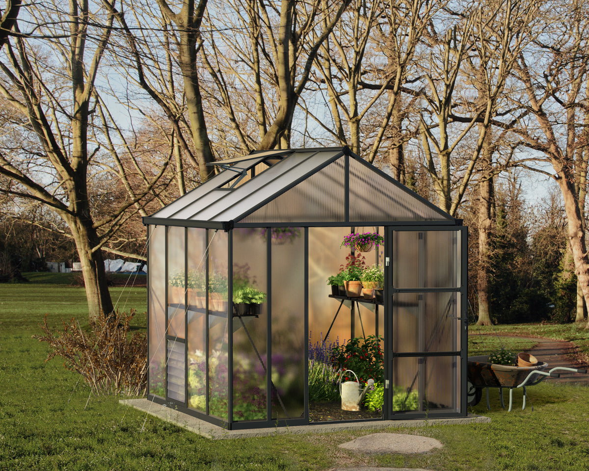 Palram - Canopia Glory 8' x 8' Greenhouse HG5608 — Beyond Greenhouses