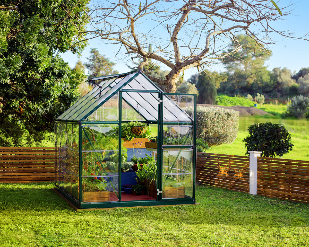 Palram Canopia Hybrid 6' x 8' Greenhouse - Green HG5508G-1B — Beyond  Greenhouses
