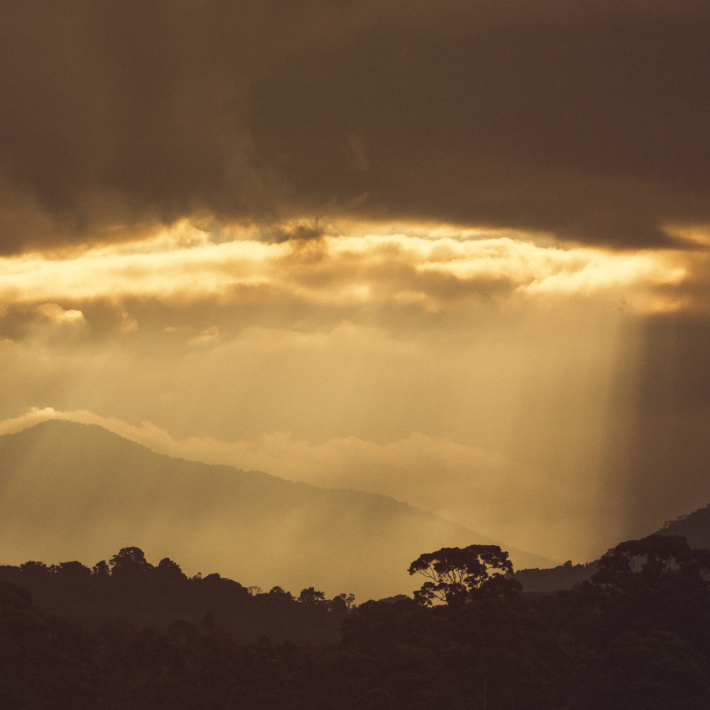 Tropical Rainforest in Honduras