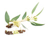 Eucalyptus Globulus Leaf Extract-part of fragrance