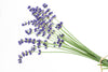 Lavandula Angustifolia Lavender extract