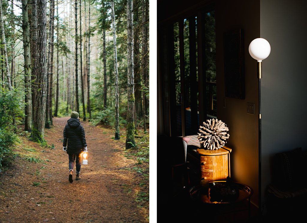 Women walking in the forest and home inspiration