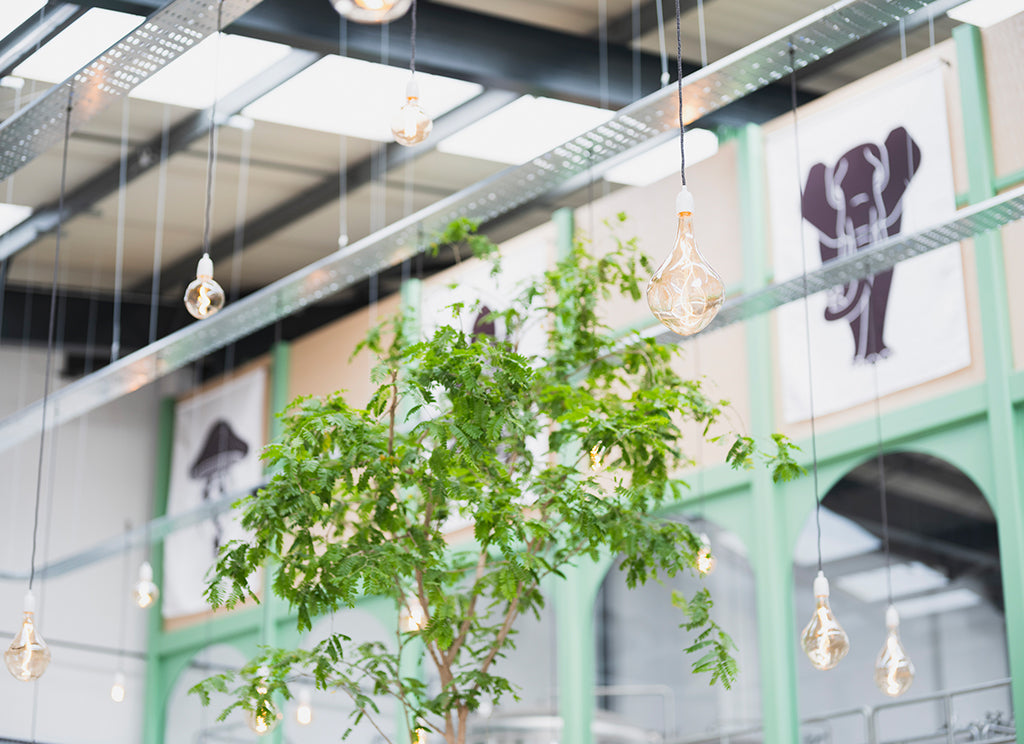 hospitality interior with voronoi pendant lights