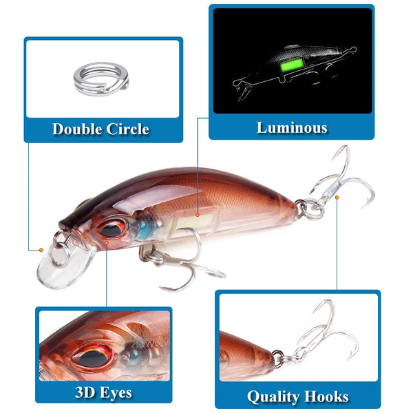 3D Luminous Minnow Fishing Lures – Fish Wish Rod