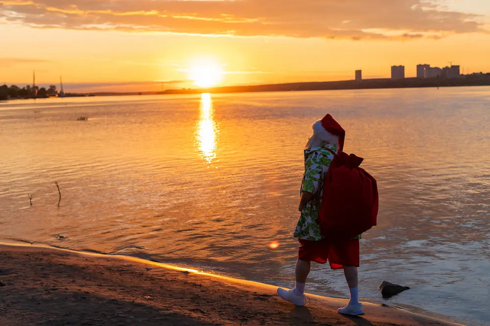 père noël en chemise hawaïenne sur la plage | couleur florale