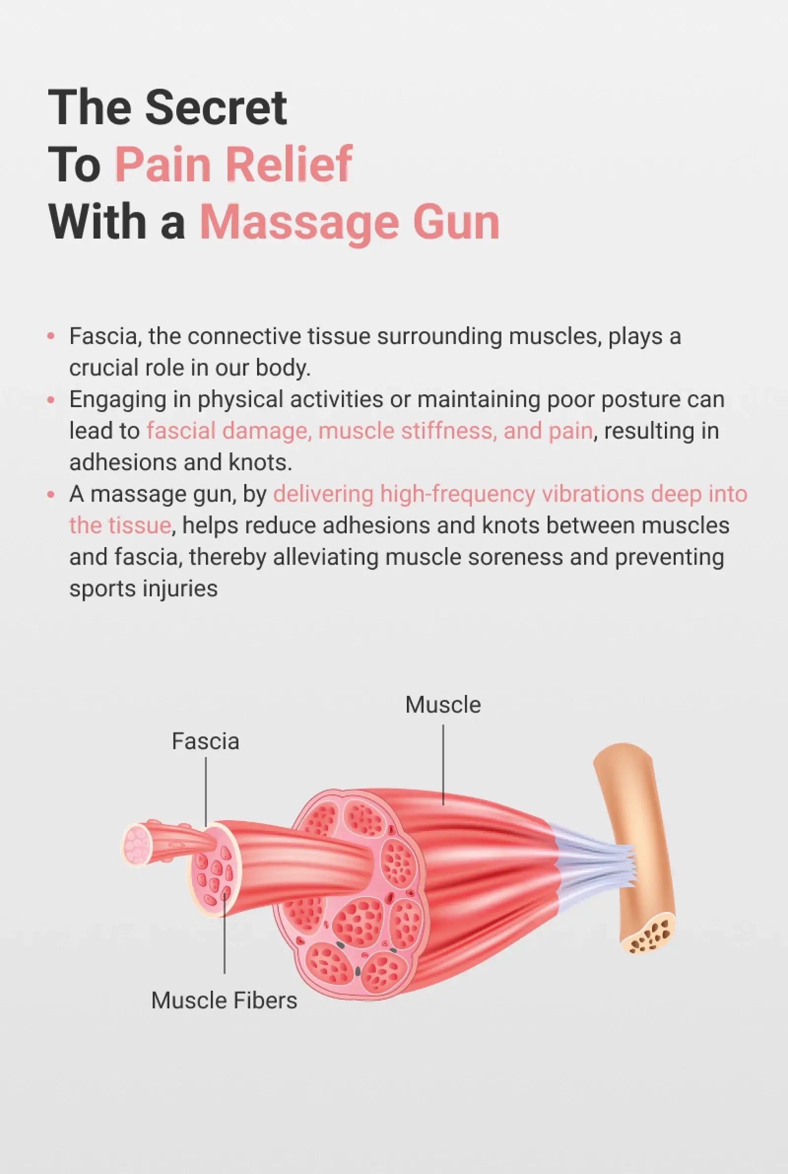 meowmate-mini-deep-tissue-massage-gun-description2