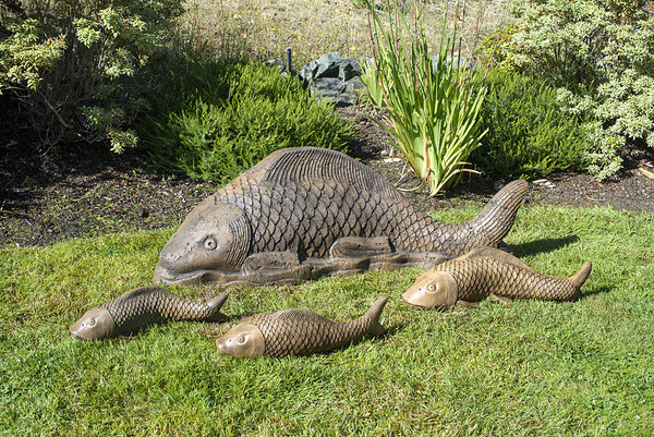 Giant Swimming Koi – Cast Artifacts - Uniquely Terrific Garden Art