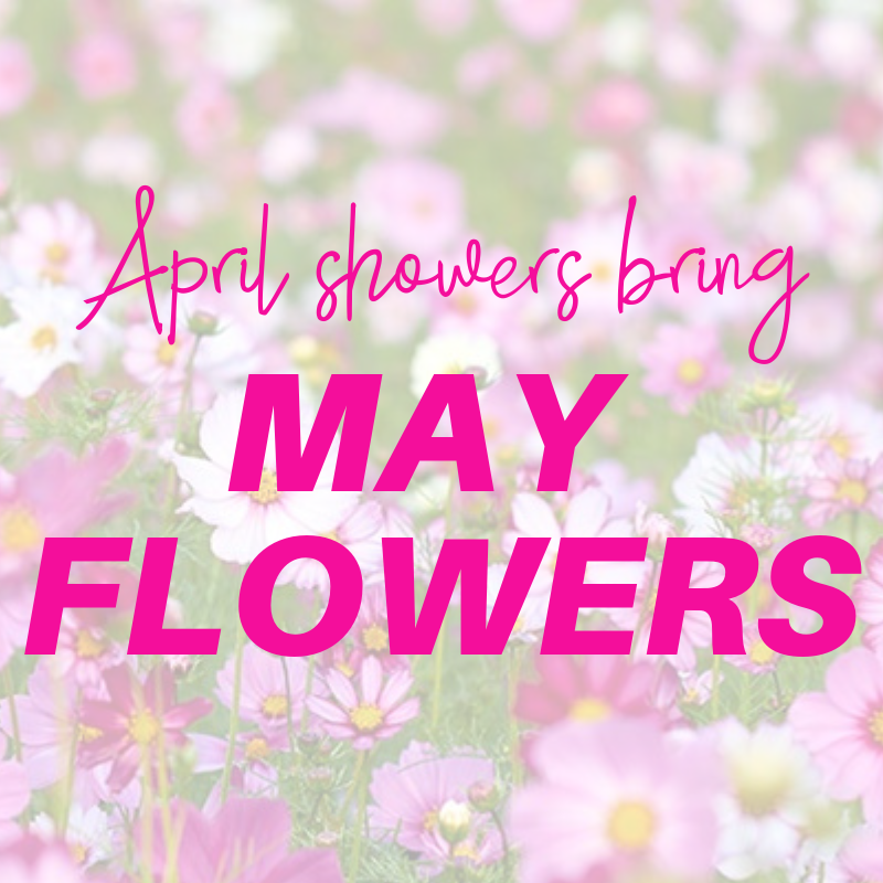 April showers bring May flowers🌸🌷– AILLEA