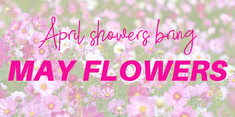April showers bring May flowers🌸🌷 – AILLEA