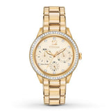 Timely Fashion Citizen Watch