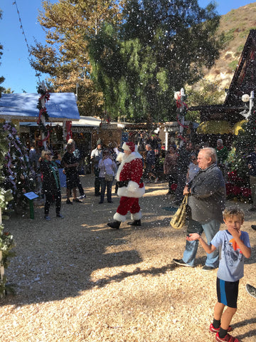 Santa Siting at Winter Fantasy at Sawdust Art Festival in Laguna Beach, Ca