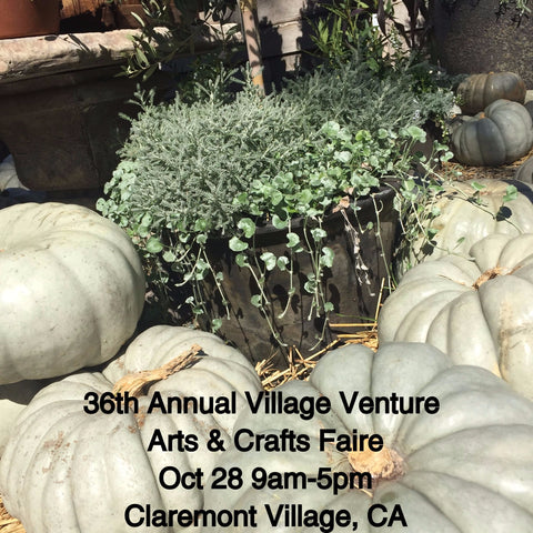 36th Annual Village Venture Oct 28, 2017