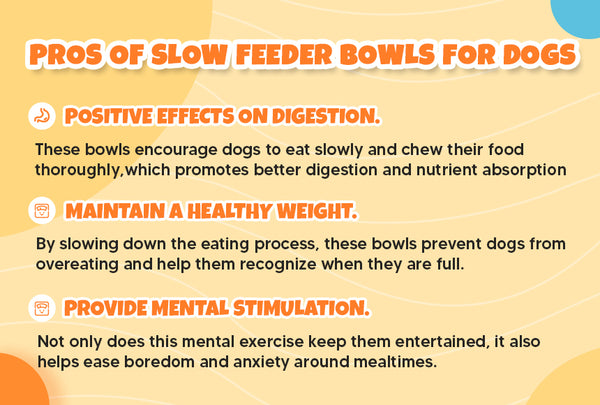 Pros of Slow Feeder Bowls for Dogs