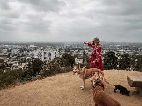 Runyon Canyon