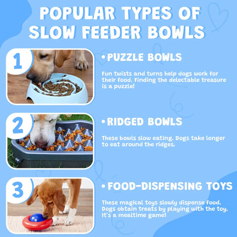 Types of slow feeder for dogs