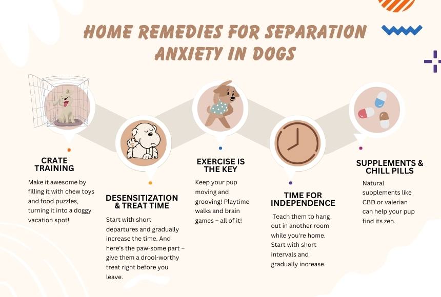 Home remedies for separation anxiety in dogs