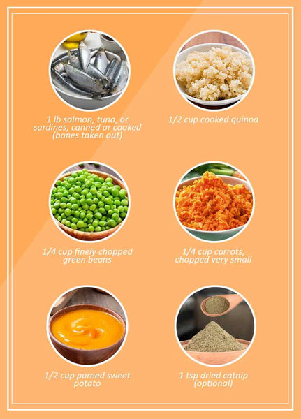 Ingredients of homemade cat food with fish