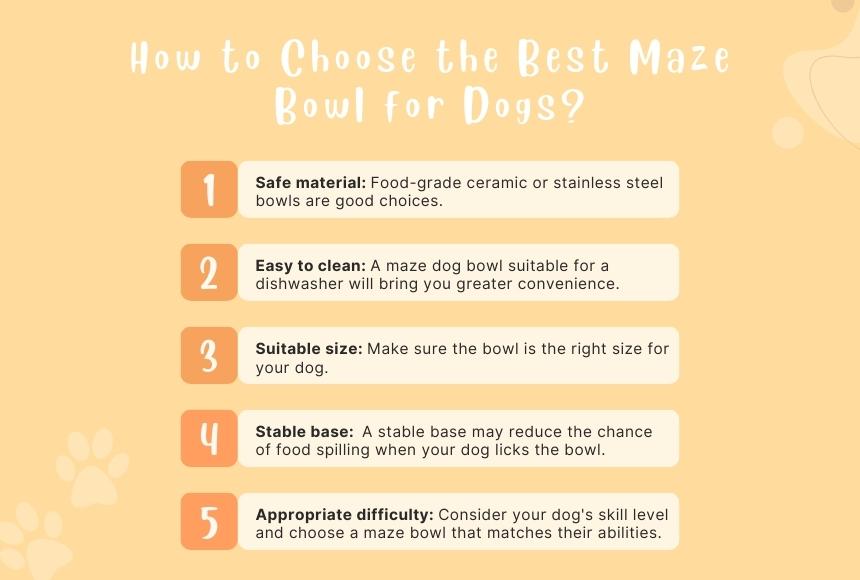 How to Choose the Best Maze Bowl for Dogs?