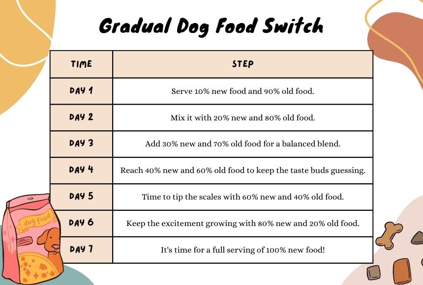 Gradual Dog Food Switch