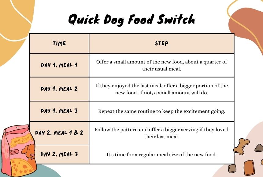 Quick Dog Food Switch