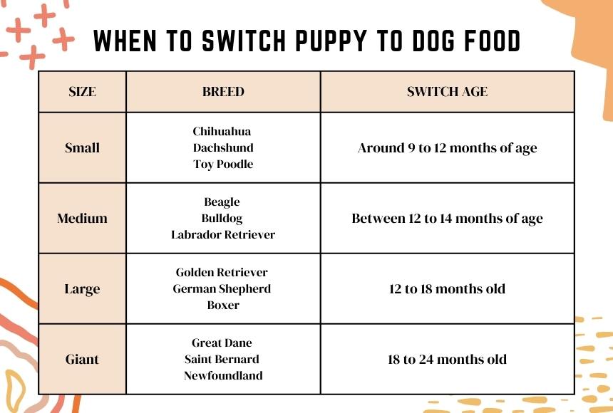 When to Switch Puppy to Dog Food