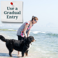 Use a Gradual Entry