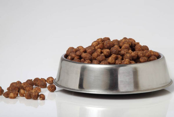 What are Traditional Dog Bowls?