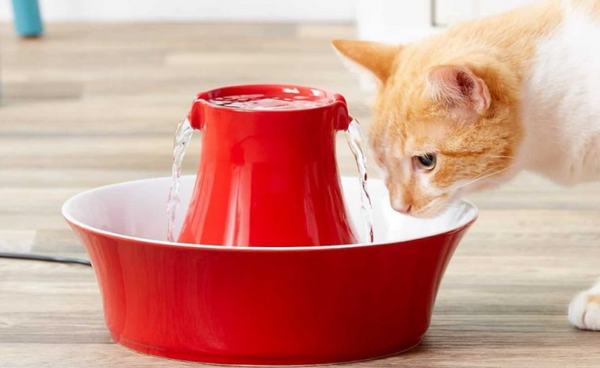 Fountain Water Bowls