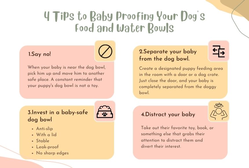 4 Tips to Baby Proofing Your Dog’s Food and Water Bowls