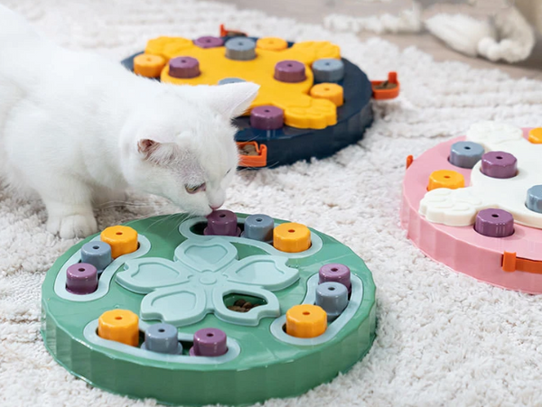 Interactive Cat Water Bowls