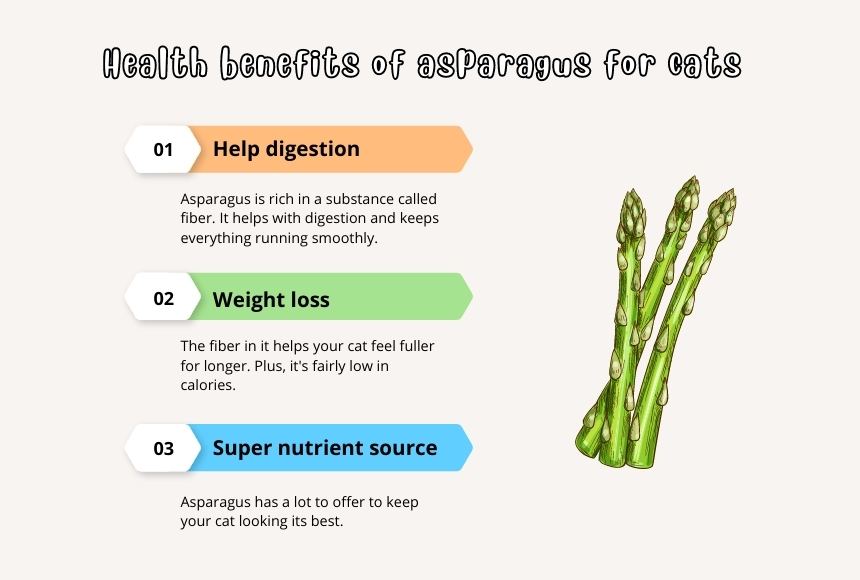Health benefits of asparagus for cats