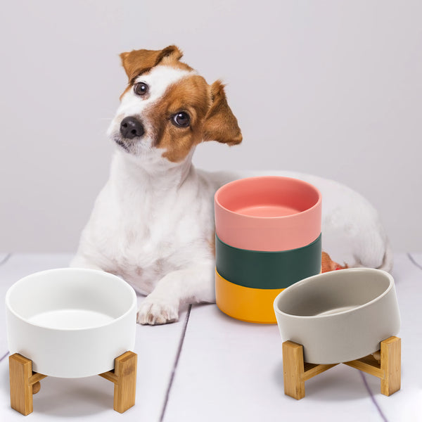 A white-yellow dog stay with 2 sets of SpunkyJunky's 15° tilted dog bowl