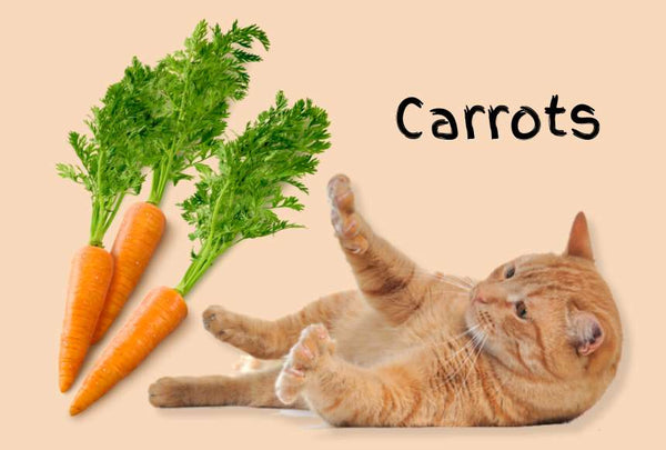 Carrots safe for cats