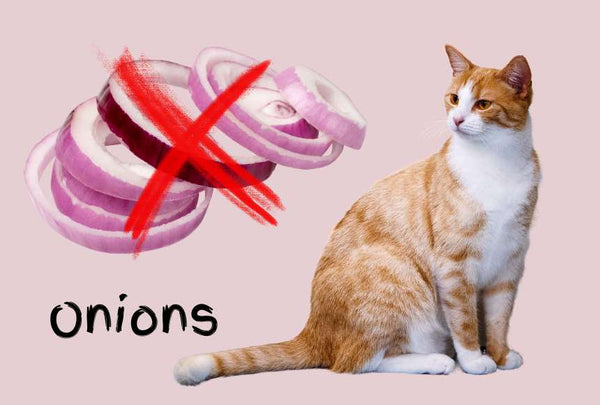 Keep cats away from onions