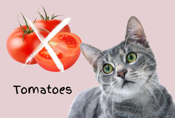 Tomatoes are bad for cats