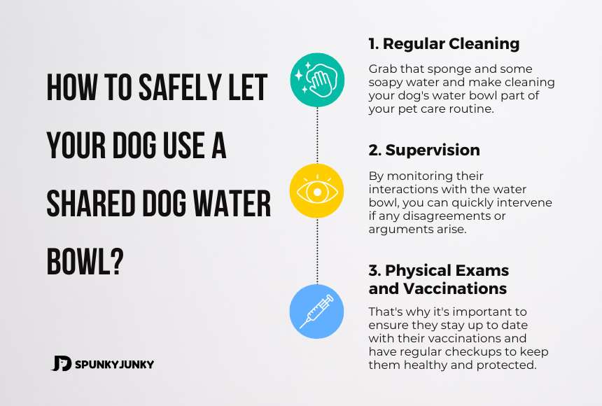 How to Safely Let Your Dog Use a Shared Dog Water Bowl