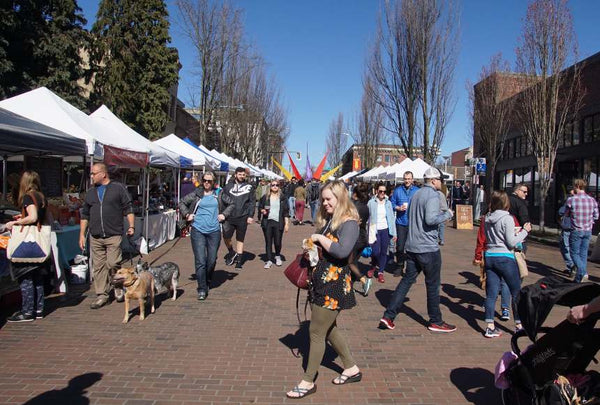 Explore the Capital with Your Dog 