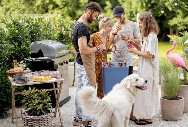 Get ready for a big celebratory party with dogs and friends