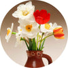 Poisonous plants for dogs - Tulip and Narcissus Bulbs