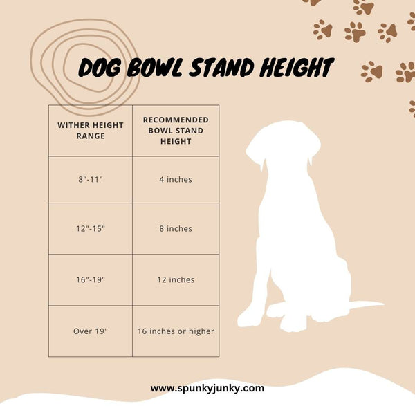 the correct dog bowl stand height