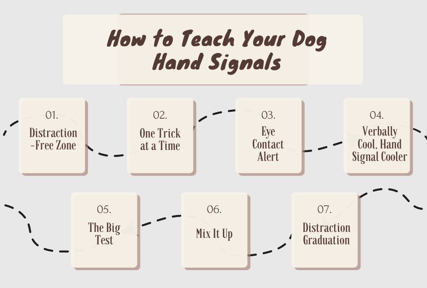 How to Teach Your Dog Hand Signals