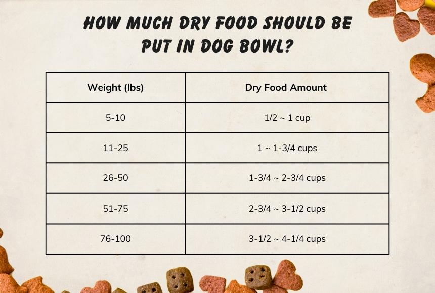 How Much Dry Food Should Be Put in Dog Bowl?