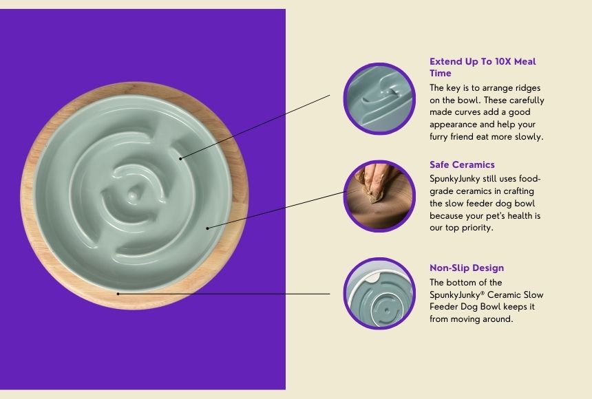 main features of spunkyjunky slow feeder dog bowl