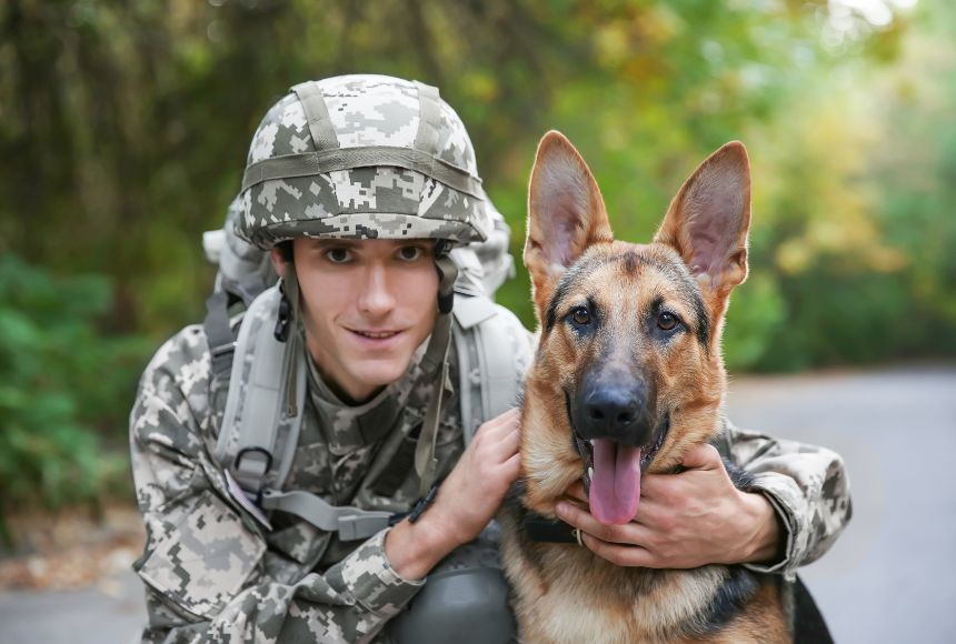 a military dog sits beside a soldier