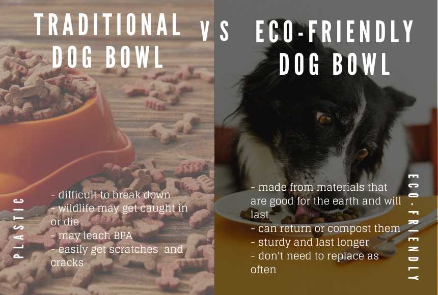 traditional plastic dog bowl vs eco-friendly dog bowl