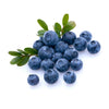 what fruits can dogs eat - Blueberries