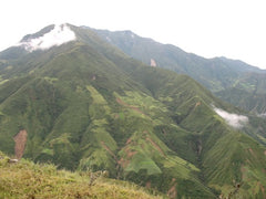 A scenic view on a trip to the coffee fields in Peru | Bean North Coffee Roasting Co. Ltd.